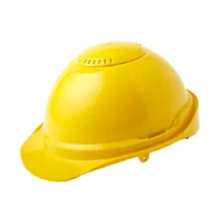 197 Nikki Hard Hats